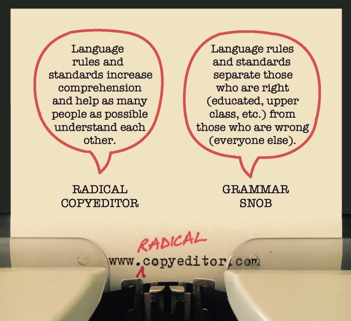 grammar snob draft 2