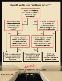 Flowchart for whether to use the term "politically correct." Full text description at bottom of page.