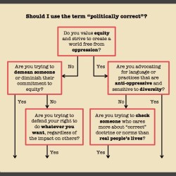 Should I use the term "politically correct"?