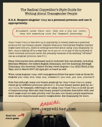 A word bubble that says "Elizabeth loves their cat; they are a big cat lover; they did something nice for themself yesterday," plus the text of an update to the Radical Copyeditor's Style Guide for Writing About Transgender People (text in graphic reprinted in full below)